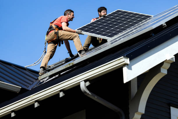Best Roof Moss and Algae Removal  in Crenshaw, MS
